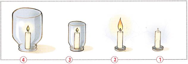 (בספר איור של נורה בתוך בית נורה)